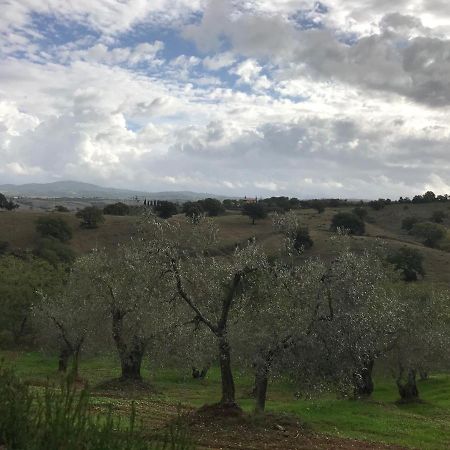 Podere Pini Magliano in Toscana Exterior photo
