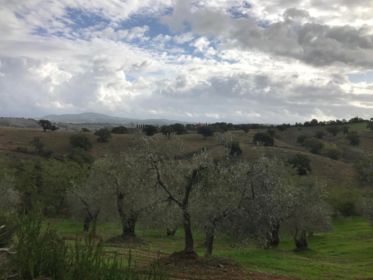 Podere Pini Magliano in Toscana Exterior photo